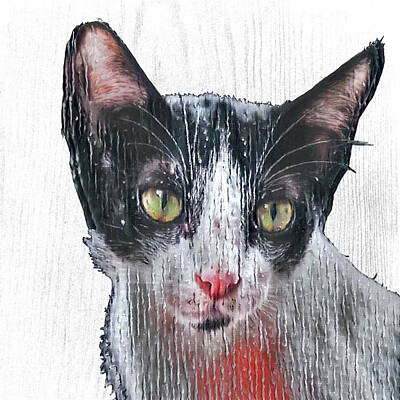 Portraits Paintings - Cat Portrait on Wood by Portraits By NC