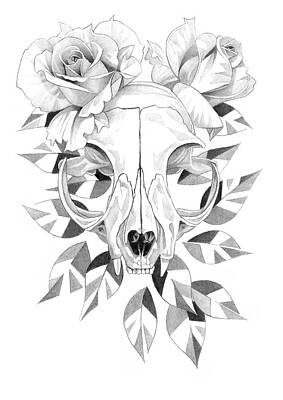 Hipster Animals Royalty Free Images - Cat Skull and Roses Pencil Drawing 1 Royalty-Free Image by Matthew Hack