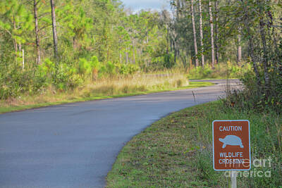 Pineapple - Caution Wildlife Crossing Sign at Colt Creek State Park, Lakeland, Polk County, Florida by Norm Lane