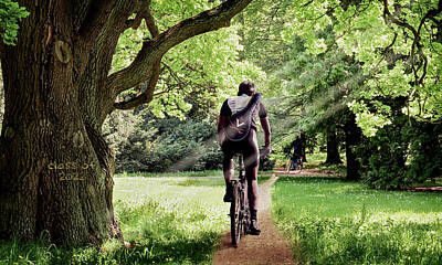 Lovely Lavender Rights Managed Images - Charlottesville Bike Path Royalty-Free Image by Tim Kelley