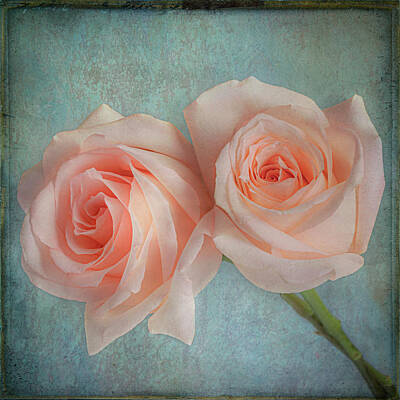 Roses Mixed Media Rights Managed Images - Cheek to Cheek Royalty-Free Image by AS MemoriesLiveOn