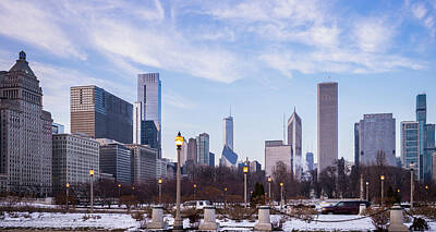 Sultry Flowers Rights Managed Images - Chicago Skyline by R Boed Royalty-Free Image by Celestial Images