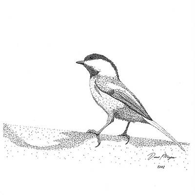 Birds Drawings Royalty Free Images - Chickadee 1 Royalty-Free Image by David Mayeau
