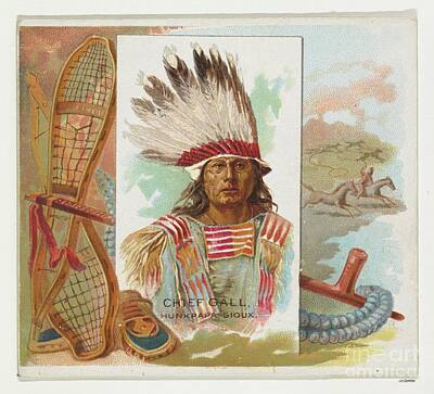 Kitchen Spices And Herbs - Chief Gall, Hunkpapa Sioux, from the American Indian Chiefs series N36 for Allen Ginter Cigarett by Shop Ability