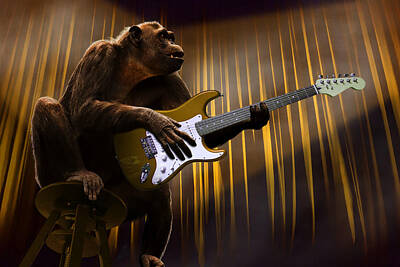 Surrealism Digital Art Rights Managed Images - Chimpanzee Monkey Performing With A Guitar Surreal Royalty-Free Image by Barroa Artworks