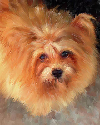 Portraits Paintings - Chow-Chow Portrait by Portraits By NC