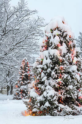 Dan Beauvais Royalty-Free and Rights-Managed Images - Christmas Trees in Blizzard #6455 by Dan Beauvais