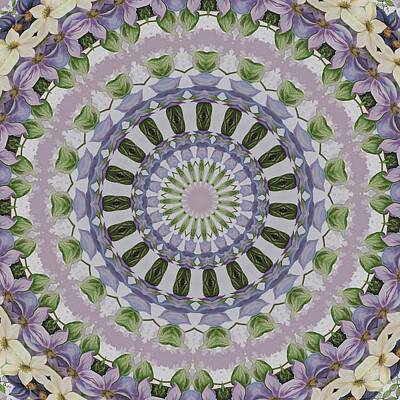 Norman Rockwell Rights Managed Images - Clematis Kaleidoscope Lilac Mandala Pattern Royalty-Free Image by Taiche Acrylic Art