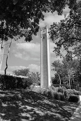 Mistletoe - Clock Tower Northwestern University Black and White  by John McGraw