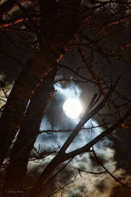 Shaken Or Stirred - Cloudy Full Moon Through Trees by Tracey Vivar