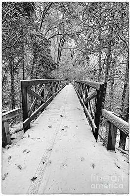 Nikki Vig Rights Managed Images - Cofrin Memorial Arboretum Walkway Bridge in Snow  Royalty-Free Image by Nikki Vig