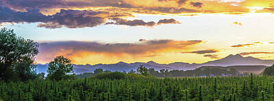 Landscape Royalty-Free and Rights-Managed Images - Colorado Hemp Field Sunset 95 by Hemp Landscapes