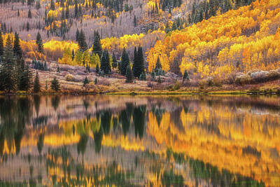 Royalty-Free and Rights-Managed Images - Colorado Reflections by Darren White