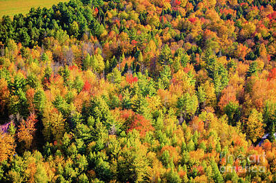 Outdoor Graphic Tees - Colorful Autumn Landscape from Above by Don Landwehrle