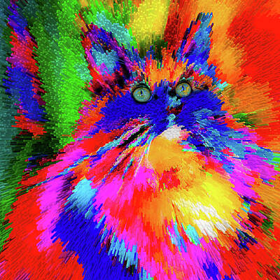 Clouds - Colorful Kitty by Patricia Dennis