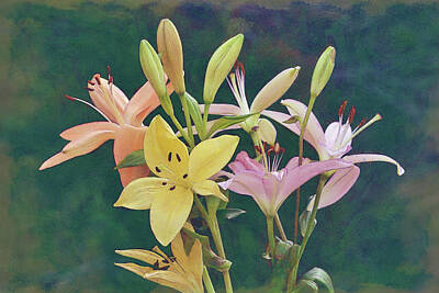 Lilies Digital Art - Colorful Lily Bunch by Gaby Ethington