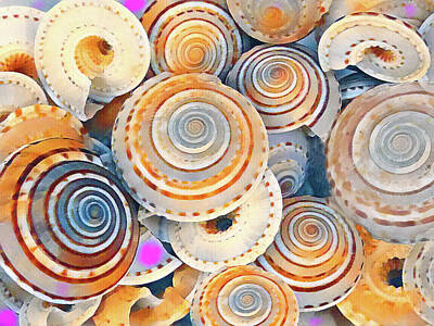 Still Life Mixed Media - Colorful Spiral Seashells by Sharon Williams Eng