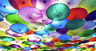 Animal Watercolors Juan Bosco - Colorful Umbrellas by Debra Millet