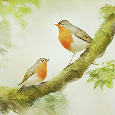 Birds Mixed Media Rights Managed Images - Come And Sing With Me. Two European Robins Perched On A Tree Branch  Royalty-Free Image by Antonia Surich