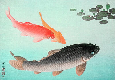 Religious Paintings - Common and Golden Carp by Ohara Koson by Mango Art