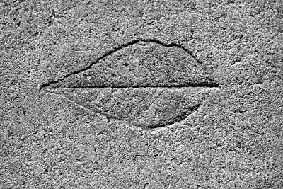 Nfl Team Signs - Concrete Fossil by Jon Burch Photography