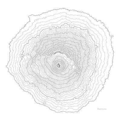 White Roses - Contour Map of Mount Vesuvius in Italy by Jurq Studio