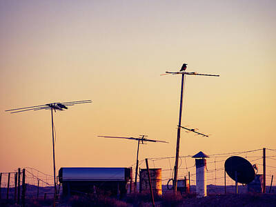 Landscape Royalty-Free and Rights-Managed Images - Coober Pedy rooftop at dusk, with a bird by Sophie Millward Shoults