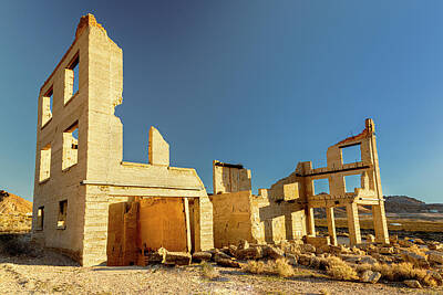 Animal Portraits Royalty Free Images - Cook Bank Building - Rhyolite Nevada Royalty-Free Image by Mike Lee