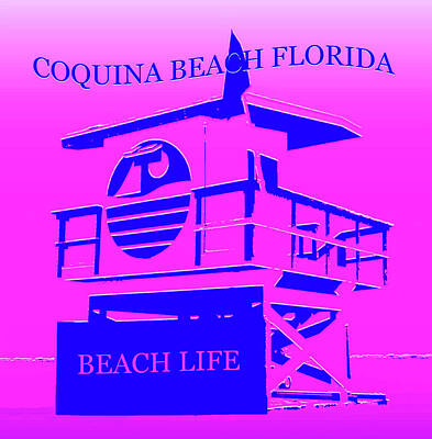 Royalty-Free and Rights-Managed Images - Coquina Beach Florida by David Lee Thompson