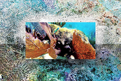 Beach Mixed Media - Coral Reef Head by Olivia Novak
