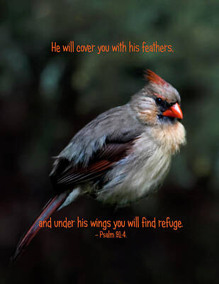 Vintage Diner - Cover You With Feathers by Norma Brandsberg