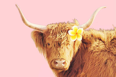 Latidude Image - Aloha Cow III by Robin Dickinson