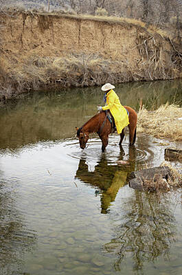 Western Buffalo Royalty Free Images - Cowboy in the Creek Royalty-Free Image by Laura Terriere