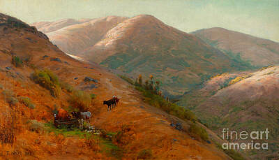 Landscape Royalty-Free and Rights-Managed Images - Cows Grazing the Hills of Marin County California by Peter Ogden