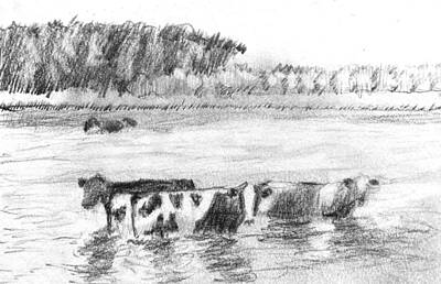 Impressionism Drawings - Cows in the River by David Zimmerman