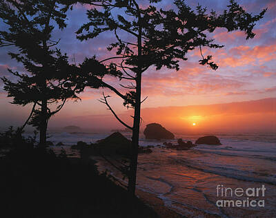 Achieving - Crescent City California Coastline At Sunset by Jim Corwin