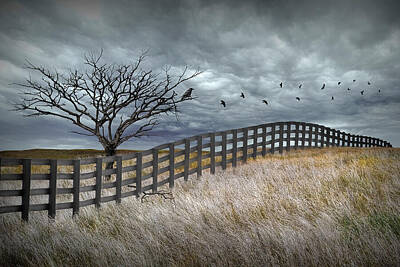 Randall Nyhof Royalty-Free and Rights-Managed Images - Crows Flying in a Rural Landscape with Black Fence and Dead Tree by Randall Nyhof