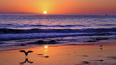 Surrealism - Crystal Cove Sunset by Kevin Felts
