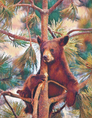 Paul Mccartney - Cub in Tree Da by Ernest Echols