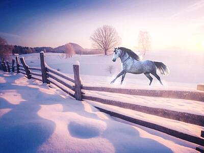 Animals Digital Art - Curious horse  by Laura Vanatka