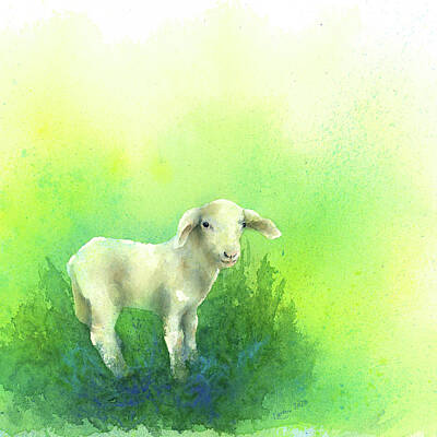 Maps Rights Managed Images - Cute little lamb square Royalty-Free Image by Karen Kaspar