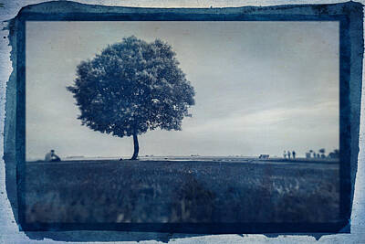 Its A Piece Of Cake - Cyanotype Photo of Lone tree by Ahmet Asar by Celestial Images