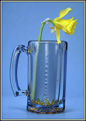Beer Royalty-Free and Rights-Managed Images - Daffodil In Beer Mug by Constance Lowery