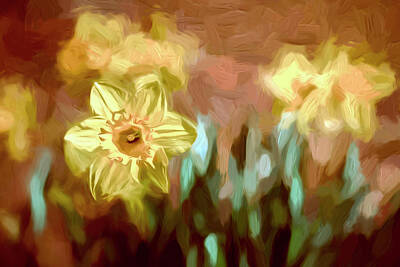 Fine Dining - Daffodils by Francis Sullivan