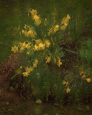 Ira Marcus Royalty-Free and Rights-Managed Images - Daffodils on a Rainy Day by Ira Marcus