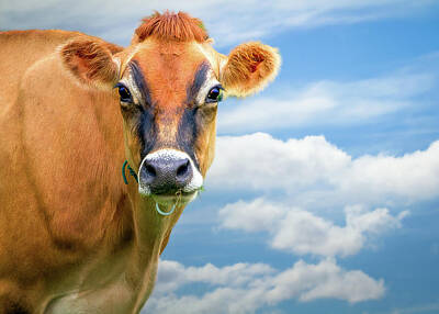 Alphabet Soup - Dairy Cow  Bessy by Bob Orsillo