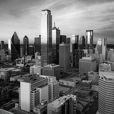 Skylines Royalty Free Images - Dallas Texas Skyline From Above - Black and White 1x1 Royalty-Free Image by Gregory Ballos