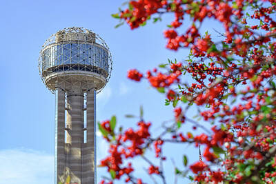 Eric Fan Whimsical Illustrations - Dallas Tower and Red Berry Tree by Nate Hovee