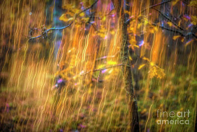 Impressionism Photo Royalty Free Images - Dance of light 2 Royalty-Free Image by Veikko Suikkanen