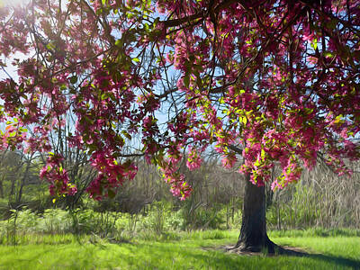 Brad Mangas Royalty-Free and Rights-Managed Images - Dancing Crabapple by Brad Mangas
